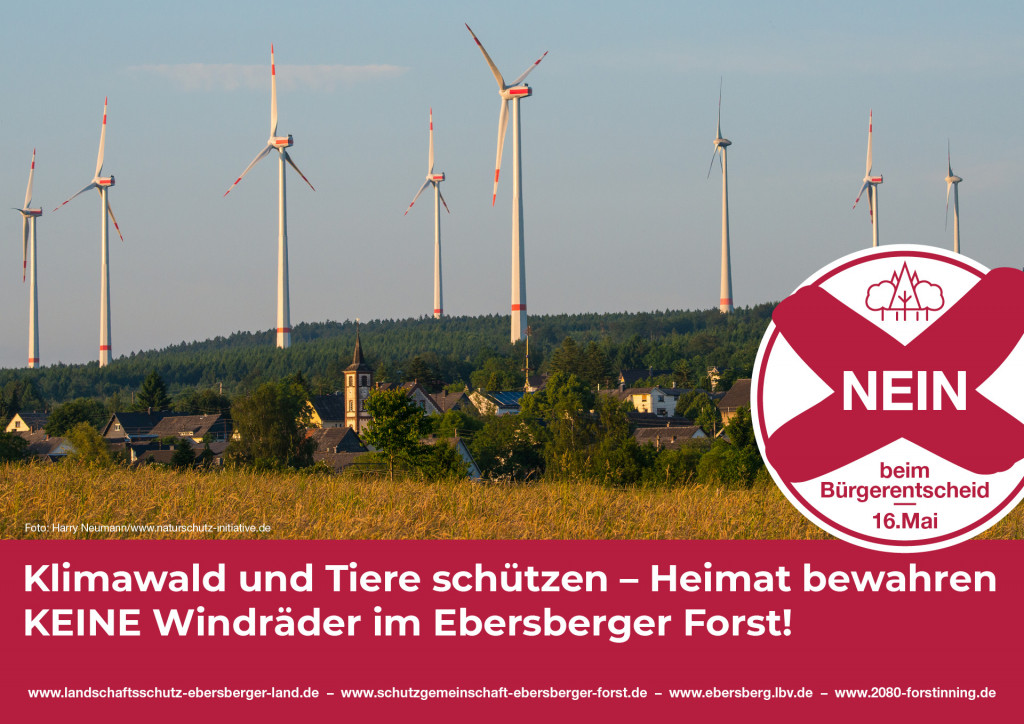 Windräder gehören nicht in unsere Klimawäder!